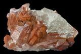 Natural, Red Quartz Crystal Cluster - Morocco #135692-1